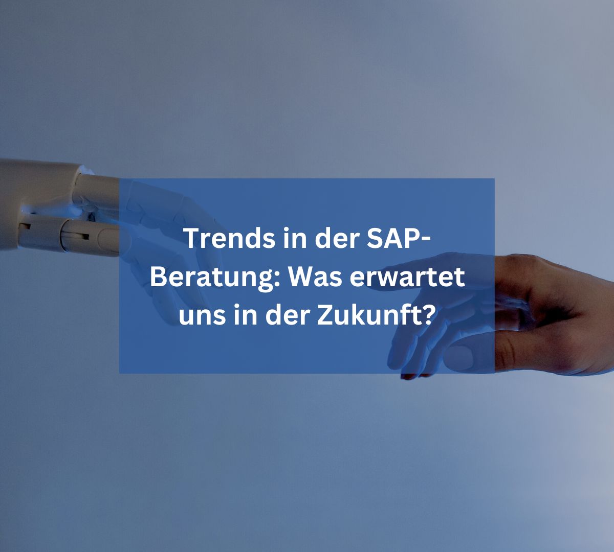 Trends in der SAP-Beratung: Was erwartet uns in der Zukunft?